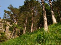 2013-07-13_Regina-F-Rau_Sonnenspitze3 (084).JPG